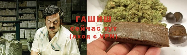 дживик Богородицк