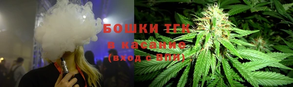 дживик Богородицк