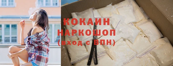 дживик Богородицк