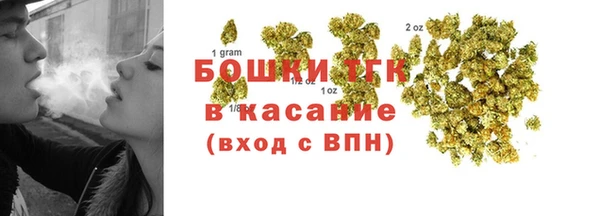 сатива Богданович