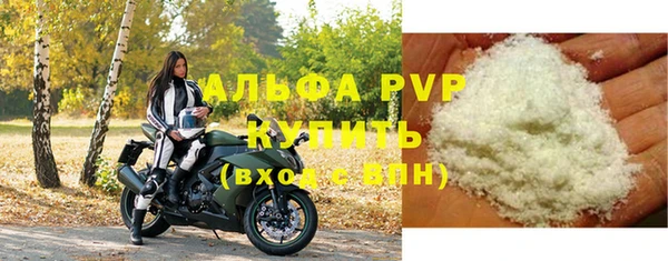 крисы Богородск