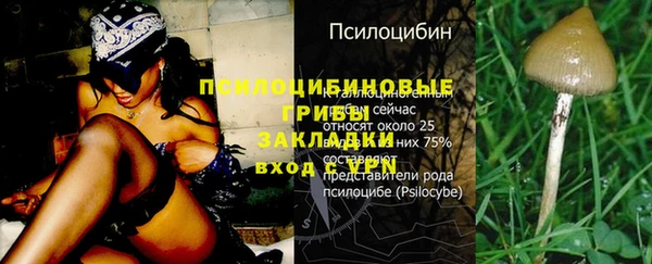 сатива Богданович