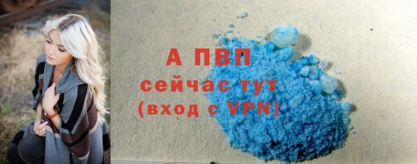 крисы Богородск