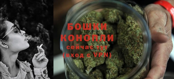 сатива Богданович
