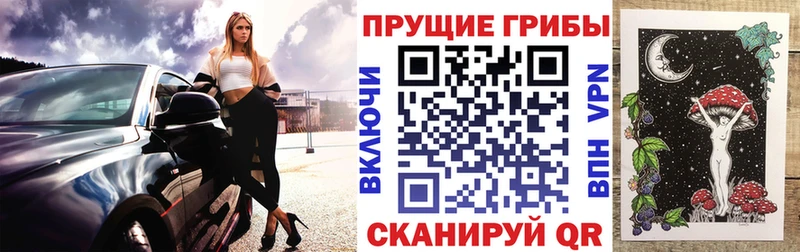 blacksprut онион  Новозыбков  Псилоцибиновые грибы Cubensis 